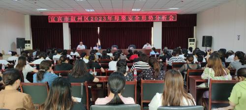 叙州区召开2023年母婴安全形势分析会
