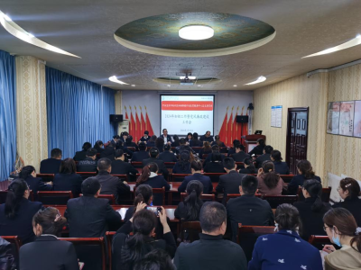召开2024年妇幼工作暨党风廉政建设工作会