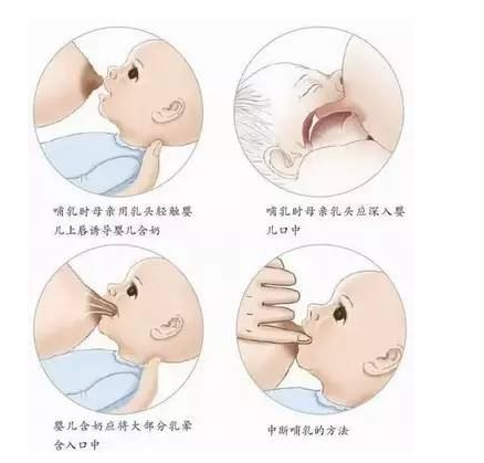 支持母乳喂养  共建生育友好